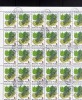 HUNGARY - UNGHERIA - MAGYAR 1976 Poplar. Oak Pine Tree Foliage And Map Geography, Maps Afforestation SHEET - FOGLIO USED - Full Sheets & Multiples