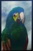 486** CPA  A Systeme  Oiseaux / Oiseau Perroquet  Yeux En Verre  ,bird  Parrot  Glass Eyes (2 Scans) - Birds