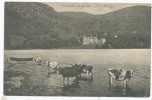 Trossachs Hotel And Loch Achray, 1910 Postcard - Perthshire