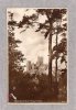 29771     Regno  Unito, Wells  Cathedral  Trough  Trees,  NV  (Scritta) - Wells