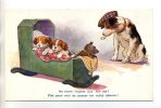 CHIENS 296- Chien Sa Pipe Et Sa Casquette "No More Nights Out For Me " Petits Chiens Au Berceau 1920 - Dogs