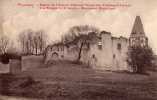 PICQUIGNY  -  Ruine De L' Ancien Château Féodal Des Vidames  D' Amiens -  Les Remparts - Picquigny