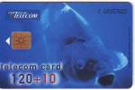 PORTUGAL TELECOM CARD 120 + 10 CARPE BON ETAT - Portugal