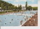 Schwimmbad Stadtbad Gunzenhausen Bayern Coloriert Berola Verlag 60er - Gunzenhausen