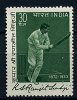 Inde * N° 377 - Joueur De Cricket - Unused Stamps