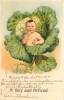 184339-Baby Arrival, Unknown No 604, Baby In Cabbage Leaves, A Boy Just Arrived, Embossed Litho - Naissance