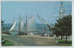 Mystic Seaport, Connecticut - Le BOWDOIN, Navire D'exploration Articque De L'amiral MacMillan - CPM - Andere & Zonder Classificatie