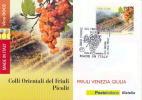 Italia 2012 Maximum Card FDC Vini Italiani DOCG Friuli-Venezia Giulia Picolit Colli Orientali Del Friuli - Vins & Alcools