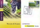 Italia 2012 Maximum Card FDC Vini Italiani DOCG Lombardia: Moscato Di Scanzo - Vins & Alcools