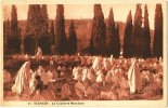 Tlemcen - La Cimetière Musulman - & Cemetery - Other & Unclassified