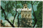 ALGER - Minaret De La Mosquée Sidi Abderahmane - N° 37 - Algiers