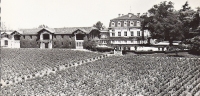 Cpsm Pauillac, Château Pontet Canet, Vignobles, Vin De Bordeaux - Pauillac