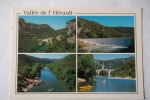 Vallée De L'hérault - Les Cévennes Touristiques - Entre Ganges Et Gignac, L'Hérault Coule Dans Une Vallée Verdoyante ... - Languedoc-Roussillon