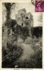 TALMONT - (85440) - CPA - N°7 - Talmont, Ruines Des Châteaux - Talmont Saint Hilaire