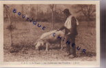 EN PERIGORD LA RECHERCHE DES TRUFFES - Other