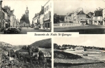 21 NUITS SAINT GEORGES SOUVENIR DE - Nuits Saint Georges