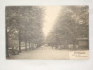 Etterbeek. Parc Du Cinquantenaire. - Etterbeek