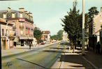 CPM   SARTROUVILLE    Avenue Maurice Berteaux Et Ses Commerces - Sartrouville