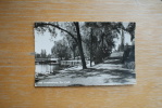 CH 8590 ROMANSHORN, Thurgau, See-Park, 1958 - Romanshorn