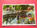 > British Columbia > Victoria  Real Photo  Color Butcharts  Gardens =====ref 564 - Victoria