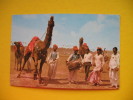 DANCING CAMEL-An Intersting Item At The Horse&Cattle Show,Lahore;RED STAMP - Pakistán