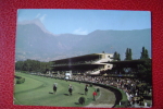 MERANO  IPPODROMO   VIAGGIATA  COME DA FOTO  Concours Hippique  Hippisme  IPPICO - Reitsport