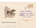 DEER, 1976, COVER STATIONERY, ENTIER POSTAL, SENT TO MAIL, RUSSIA - Wild