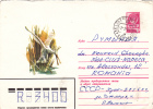 PELICAN, 1978, COVER STATIONERY, ENTIER POSTAL, SENT TO ROMANIA, RUSSIA - Pélicans