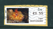 IRLAND/IRELAND  -  ATM Label Used On Paper As Scan - Viñetas De Franqueo (Frama)