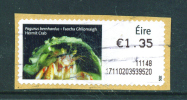 IRLAND/IRELAND  -  ATM Label Used On Paper As Scan - Automatenmarken (Frama)