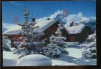 CPM Contre La Lumière " Neige Et Soleil "  Féérie Hivernale - Halt Gegen Das Licht/Durchscheink.