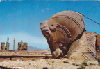 SHIRAZ: PERSEPOLIS , Grafic Roman - IRAN ,POSTCARD, CARTE POSTALE, PERFECT SHAPE - ISRAEL - Iran