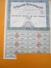Action/ La Pelleterie Russo-américaine/Action De Capital De 100 Francs/Paris/1926   ACT11 - Altri & Non Classificati