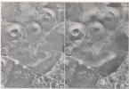CP STEREO VOLCANS VUE AERIENNE - NON SITUE - Stereoscope Cards