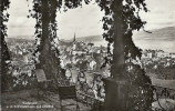 1919 Wädenswil Von Der  Schlossterrasse Aus Gesehen - Wädenswil