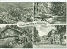 Germany, Gruss Aus Schwarzburg Im Thuringer Wald, 1962 Used Postcard [10138] - Saalfeld