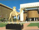 (222) United Arab Emirates - Dubai Municipality Building (camel) + Intercontinental Hotel - Verenigde Arabische Emiraten