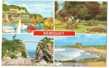 UK, Newquay, 1984 Used Postcard [10189] - Newquay