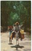 Local Transportation Through Bamboo Grove, Jamaica, Used Postcard [10193] - Jamaica