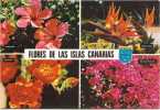 Flores De Las Islas Canarias - Autres & Non Classés