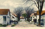 Chepachet RI Main Street 1905 - Sonstige & Ohne Zuordnung