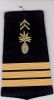 Manchon épaule Capitaine Cadre Spécial - Armée De Terre France - Uniformen