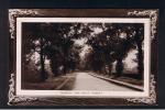 RB 871 - 1910 Real Photo Postcard Copt Heath Avenue Knowle Solihull Warwickshire - Autres & Non Classés