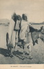 AFRIQUE - ALGERIE - SAHARA - Trois Petits Moricauds (sur Un âne) - Kinderen
