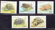T)1995,AZERBAIJAN,TURTLES,SET(5),MNH. - Schildpadden