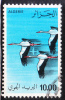 Algeria 1979 Air Post Stamp Storks Plane Birds Used - Cicogne & Ciconiformi