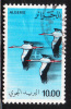 Algeria 1979 Air Post Stamp Storks Plane Birds Used - Ooievaars