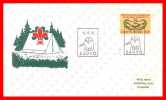 SCOUT / SCOUTING / SCOUTISME: SUOMI FINLAND 06.08.1965 - HAKKIS SAUVO - Lettres & Documents