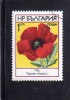 BULGARIA - BULGARIE - BULGARIEN 1973 FLOWERS PAPAVER RHOEAS FLOWER - FIORI PAPAVERO FIORE USED - Gebraucht