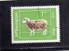 BULGARIA - BULGARIE - BULGARIEN 1974 Domestic Animals SHEEP ANIMALI DOMESTICI PECORA USED - Gebraucht